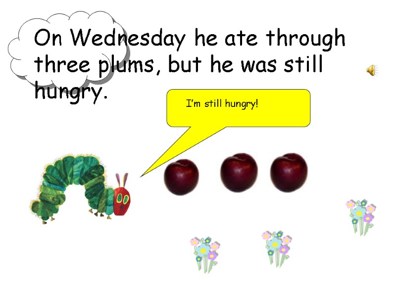 On Wednesday he ate through three plums, but he was still hungry. I’m still